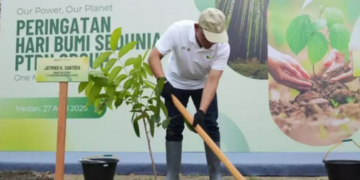 PalmCo Target Tanam 50 Ribu Pohon di 2026, Dorong Aksi Nyata Keberlanjutan